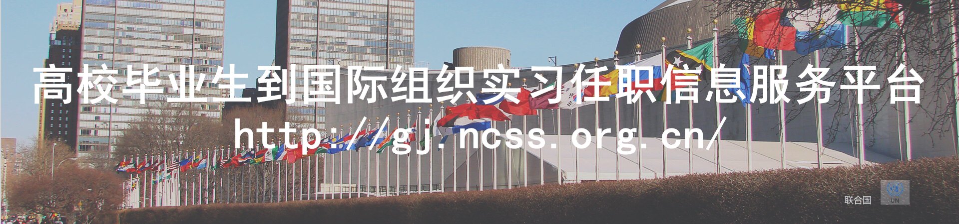 高校毕业生到国际组织实习任职信息服务