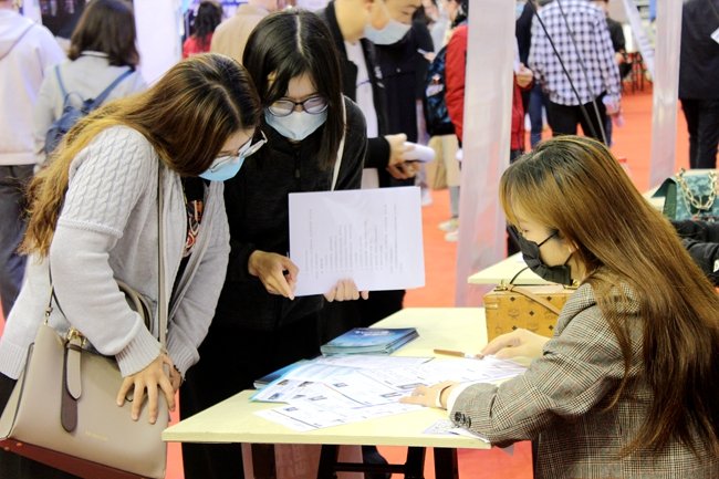 提供招聘岗位近300个